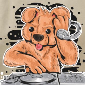 DJ Teddy