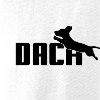 Jezevčík Dach Jezevčík Dach