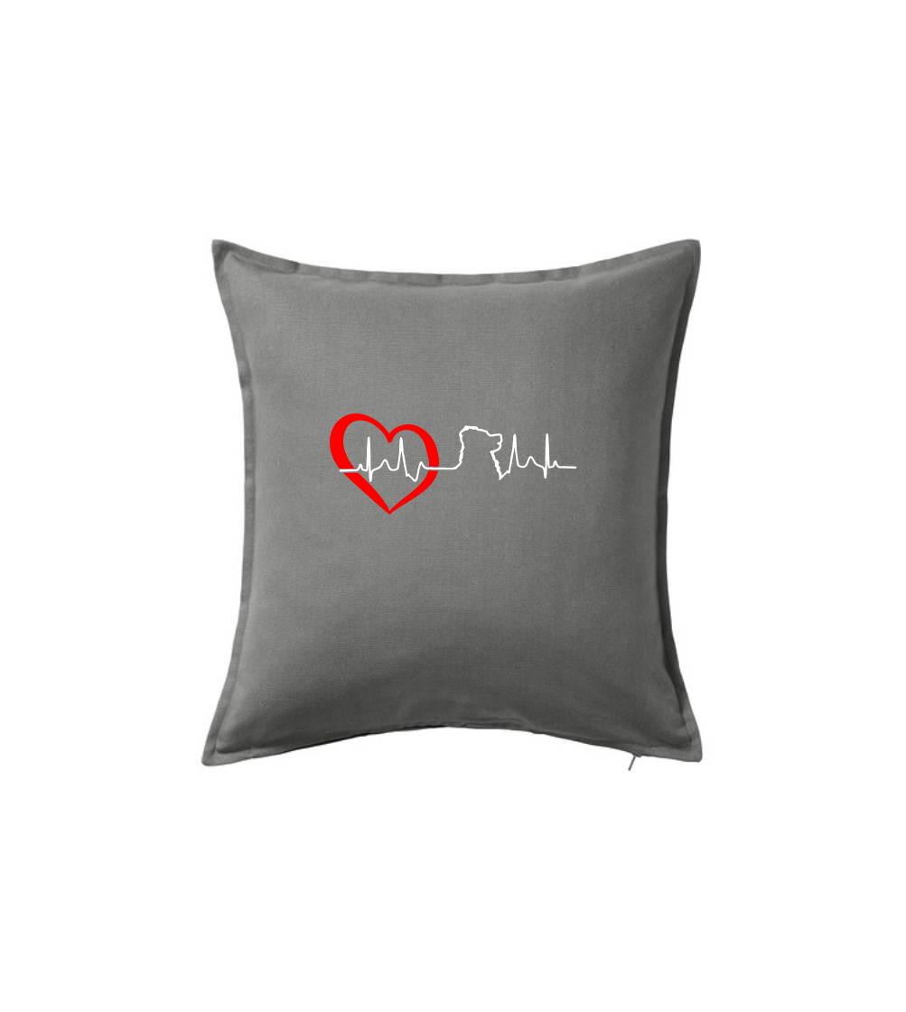 Bernský salašnický pes EKG