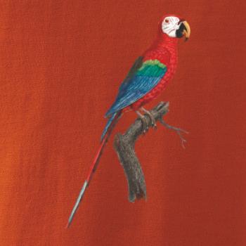 Papoušek červený na větvi