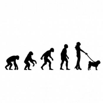 Evoluce pes Mops (muž-žena)