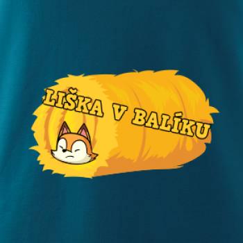 Liška v balíku Liška v balíku