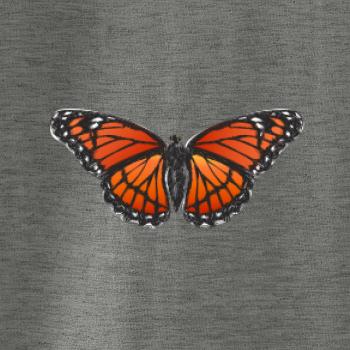 Motýl Monarcha stěhovavý