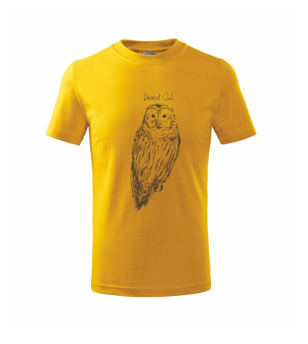 Puštík proužkovaný Barred owl