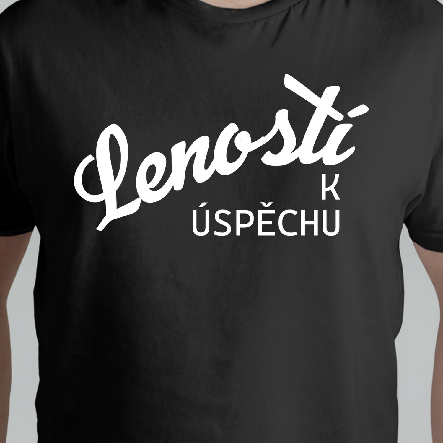 Leností k úspěchu - psací