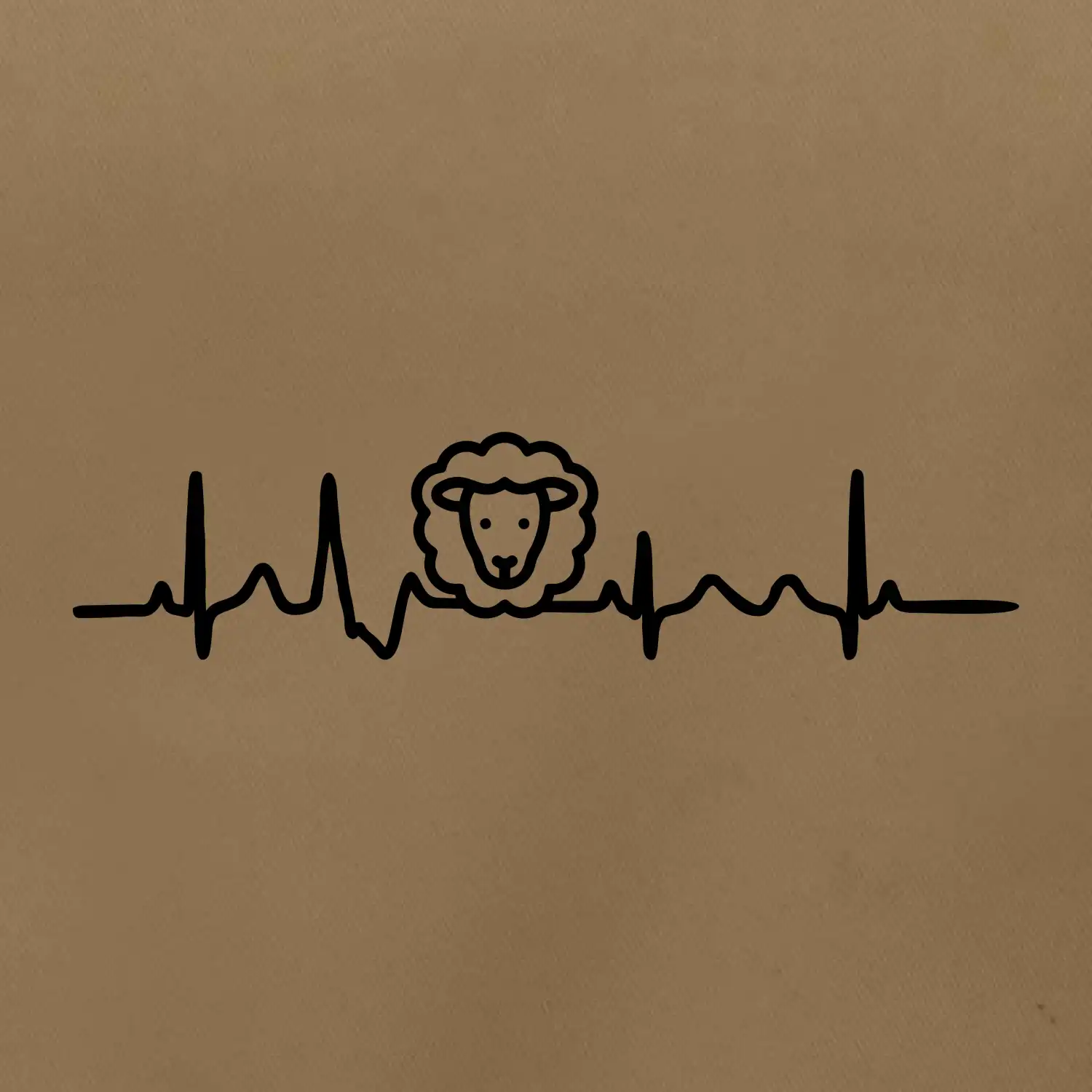 Ekg ovce