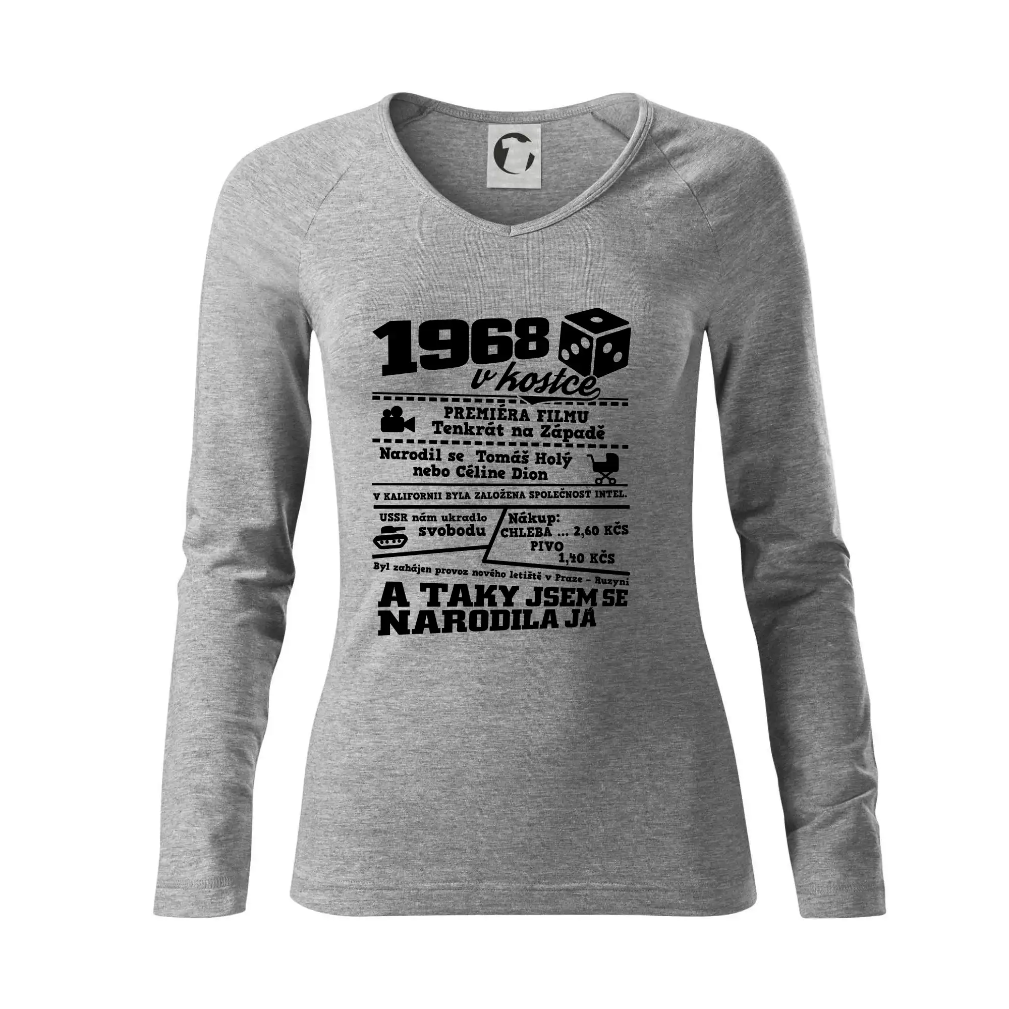 1968 v kostce