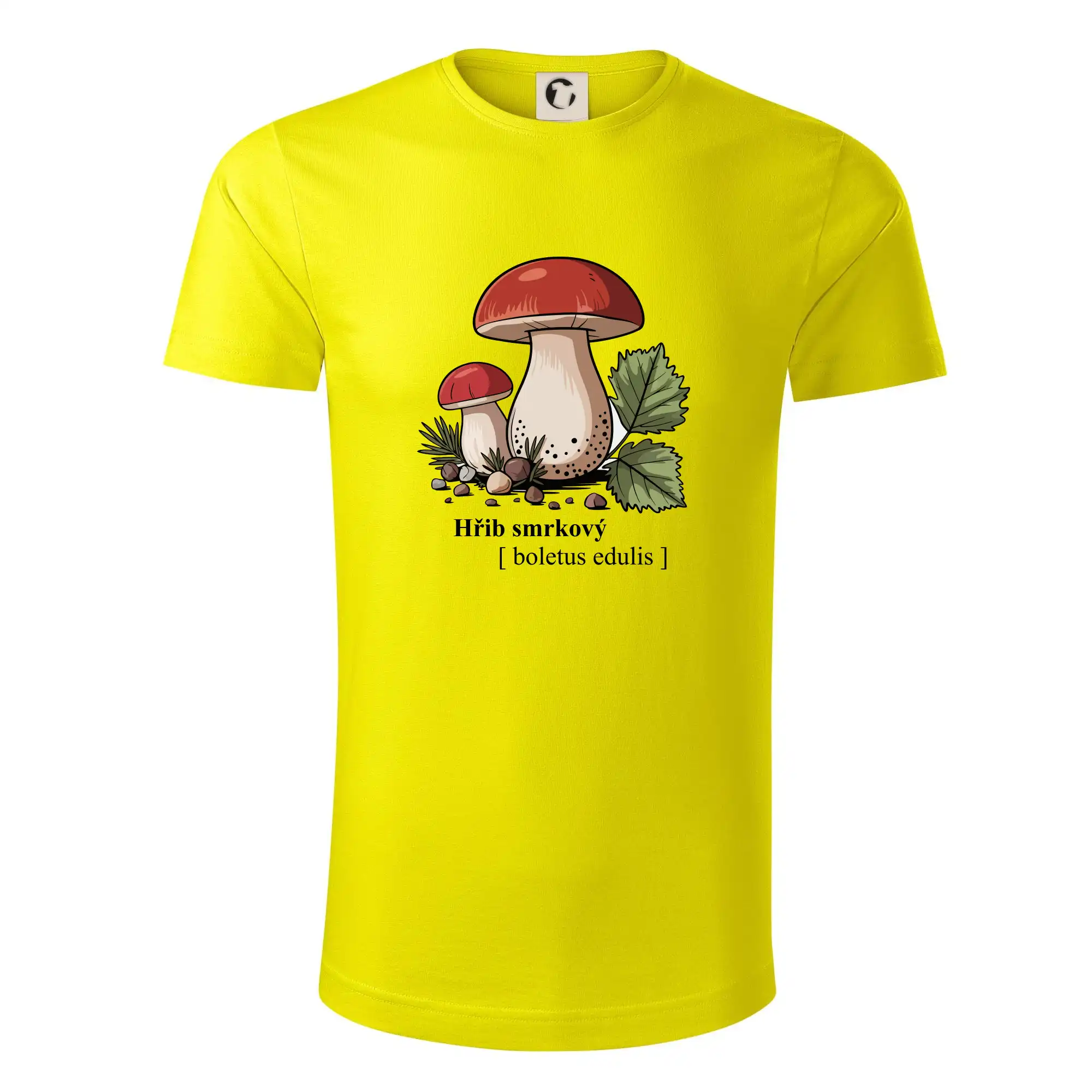 Hřib smrkový - Boletus edulis kreslený