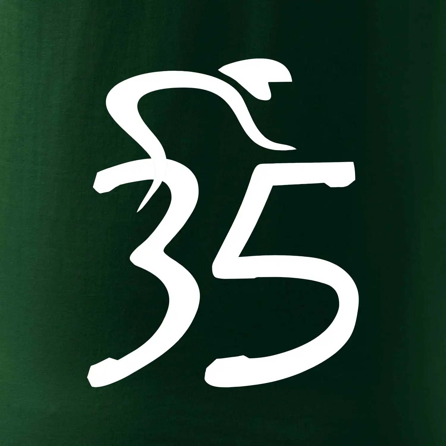 Cyklista slaví pětatřicítku (35)