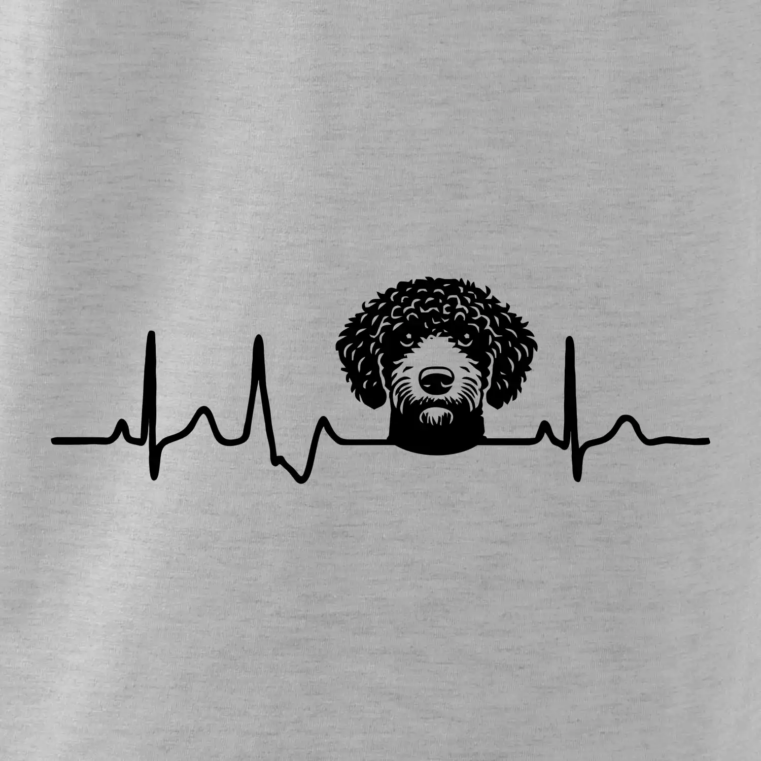 Lagotto romagnolo hlava EKG
