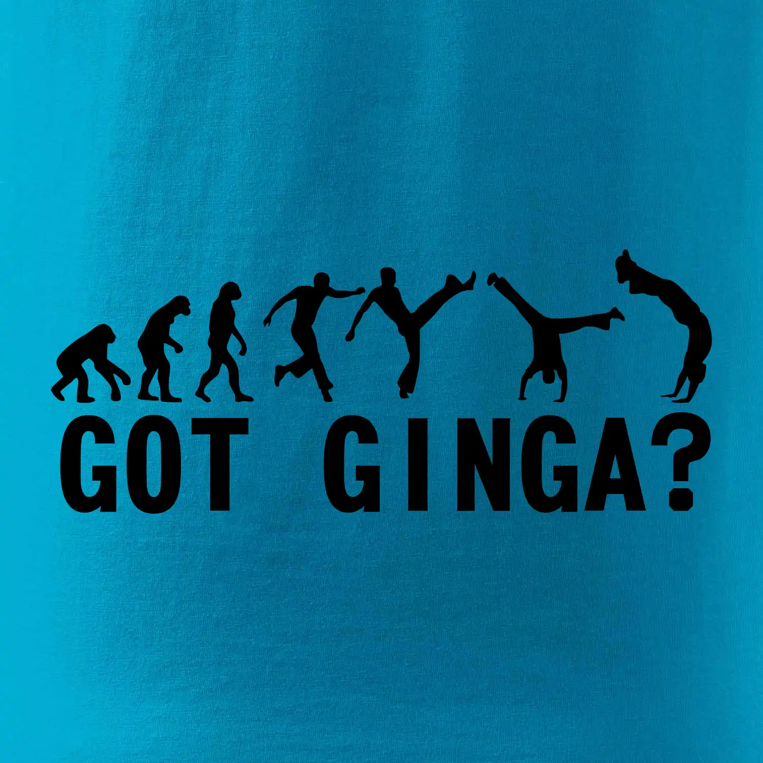 Capoeira - Got Ginga