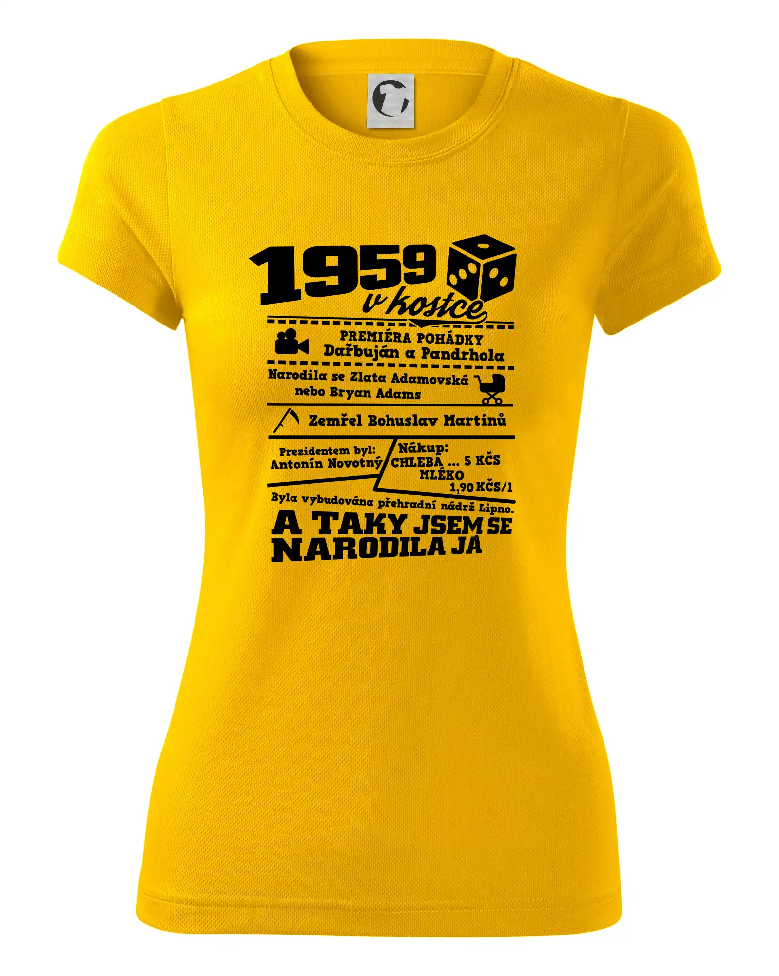 1959 v kostce