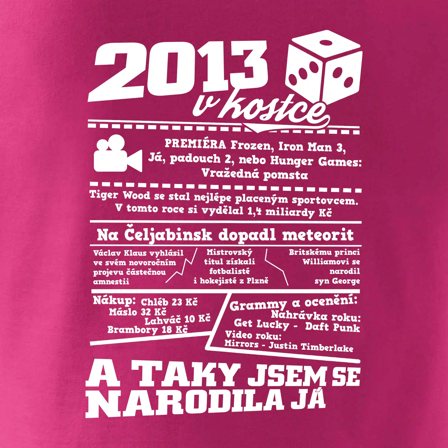 2013 v kostce