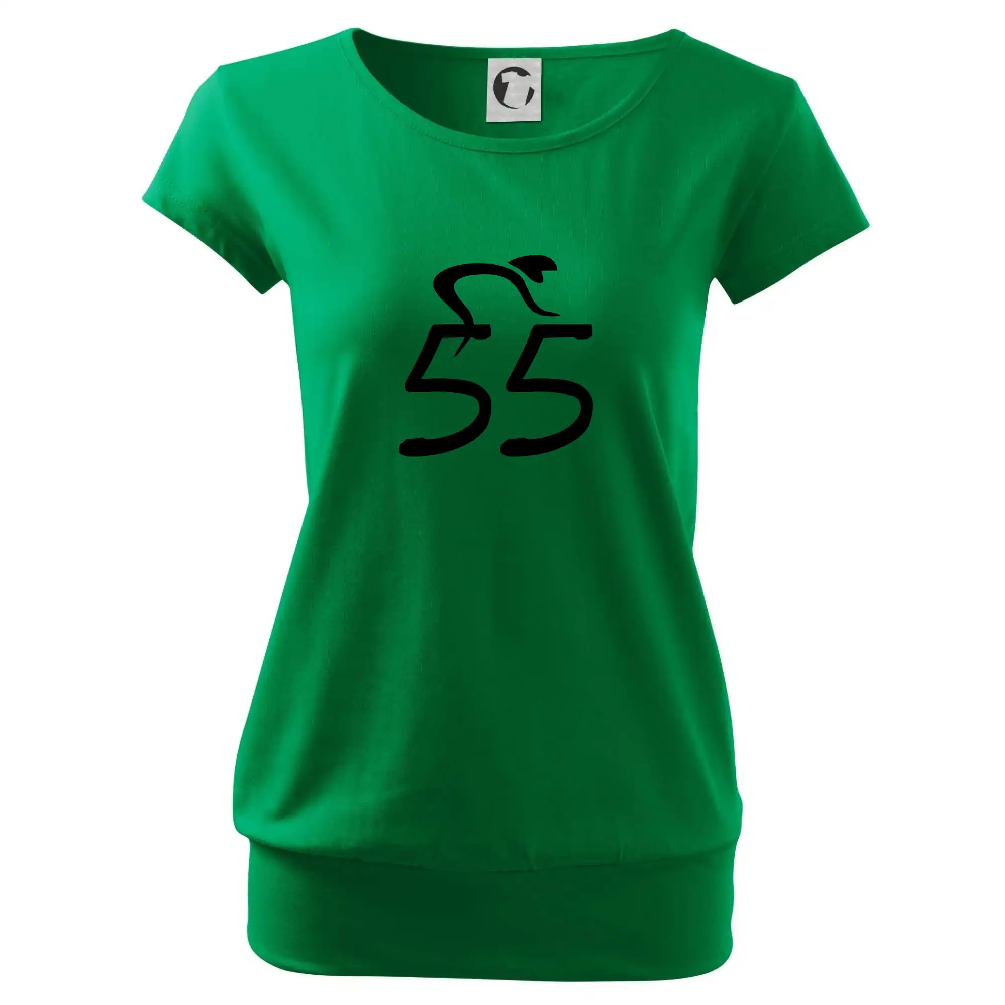 Cyklista slaví pětapadesátku (55)