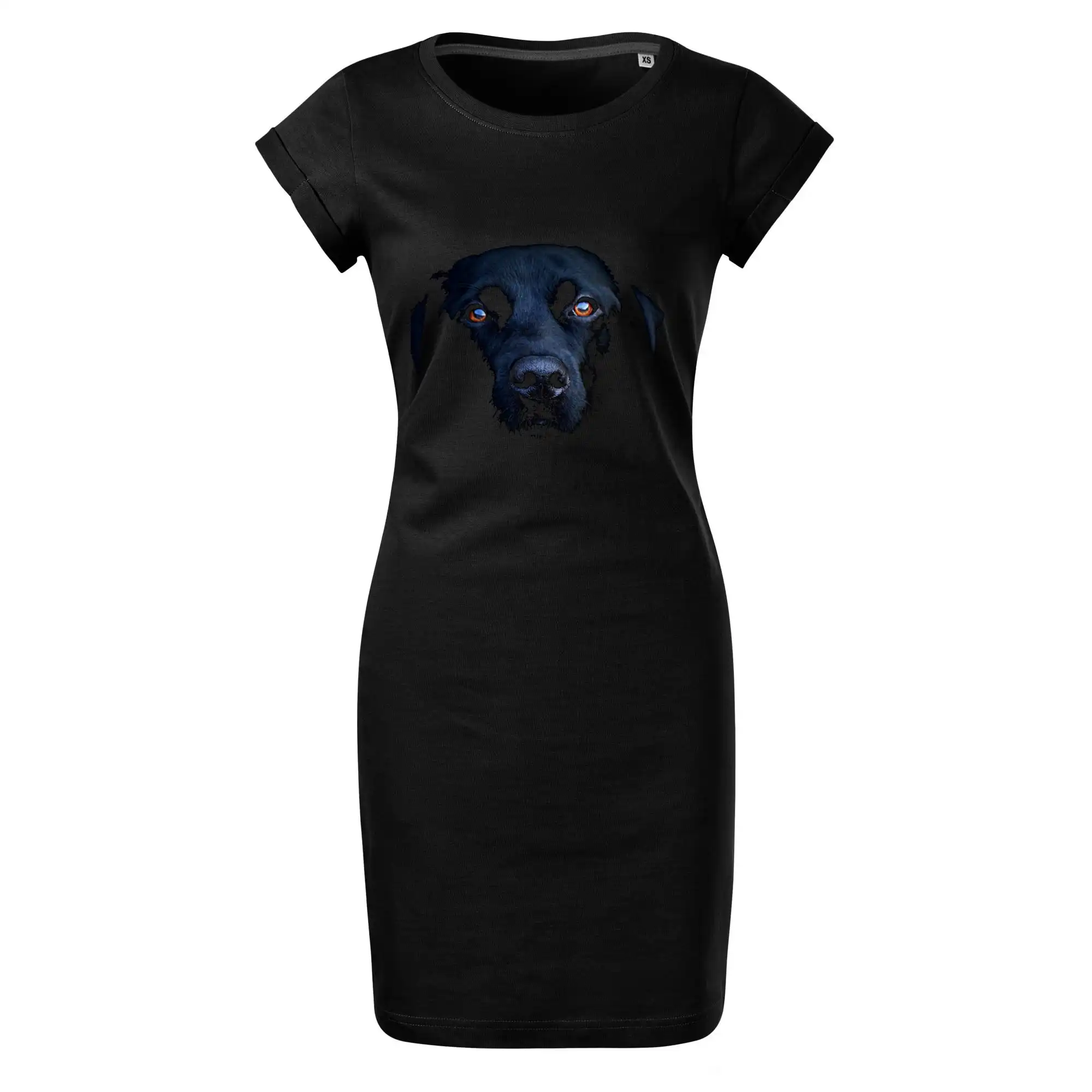 Černý Labrador fotka