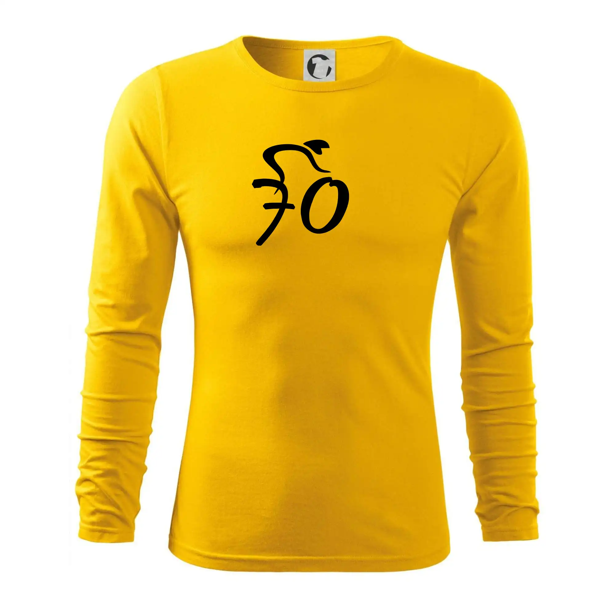 Cyklista slaví sedmdesátku (70)