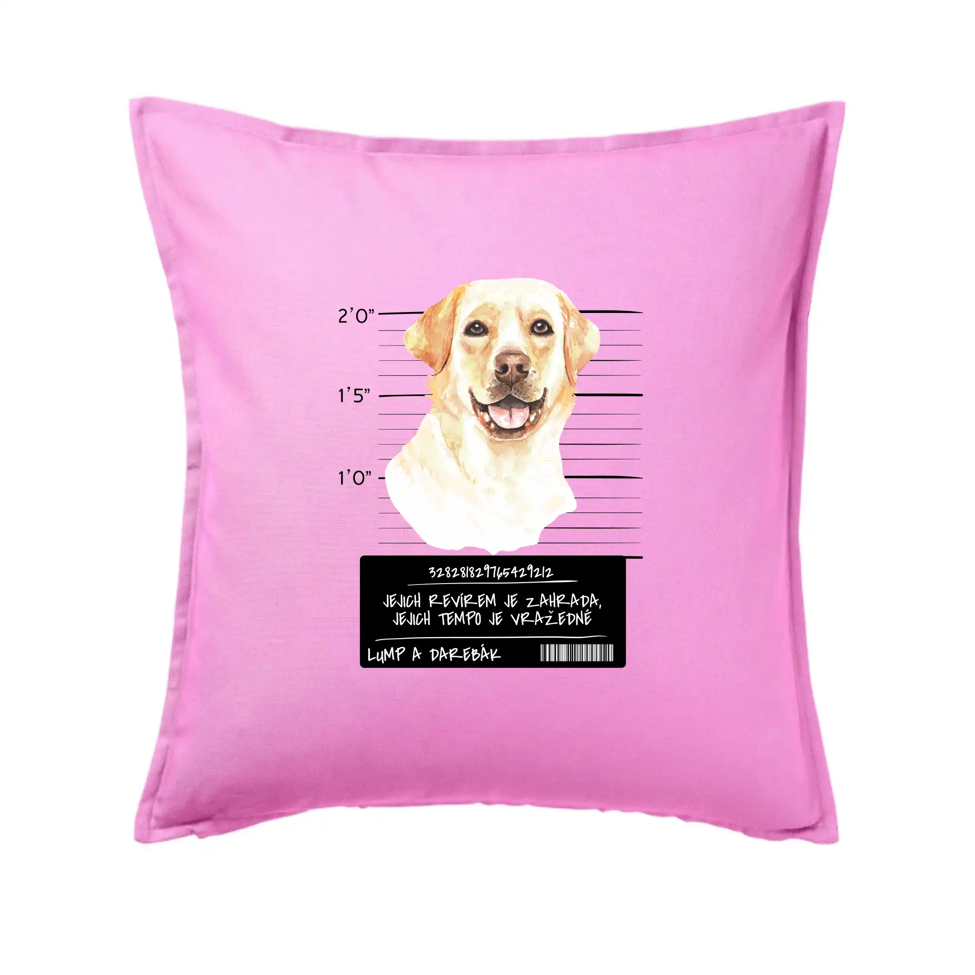 Lump a darebák labrador