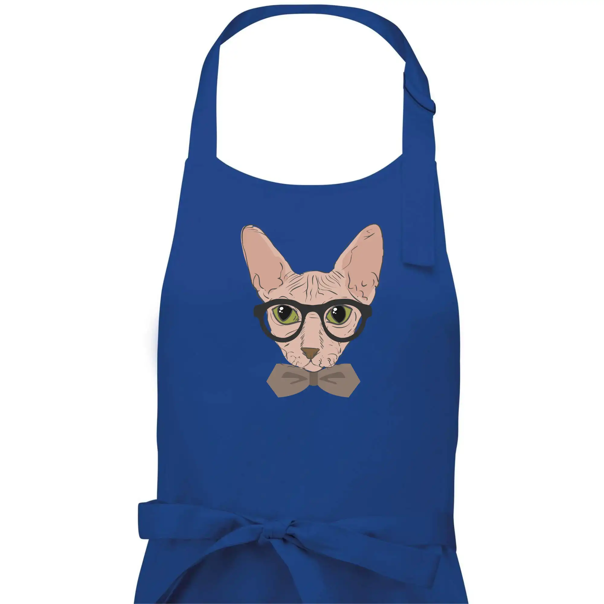 Hipster sphynx