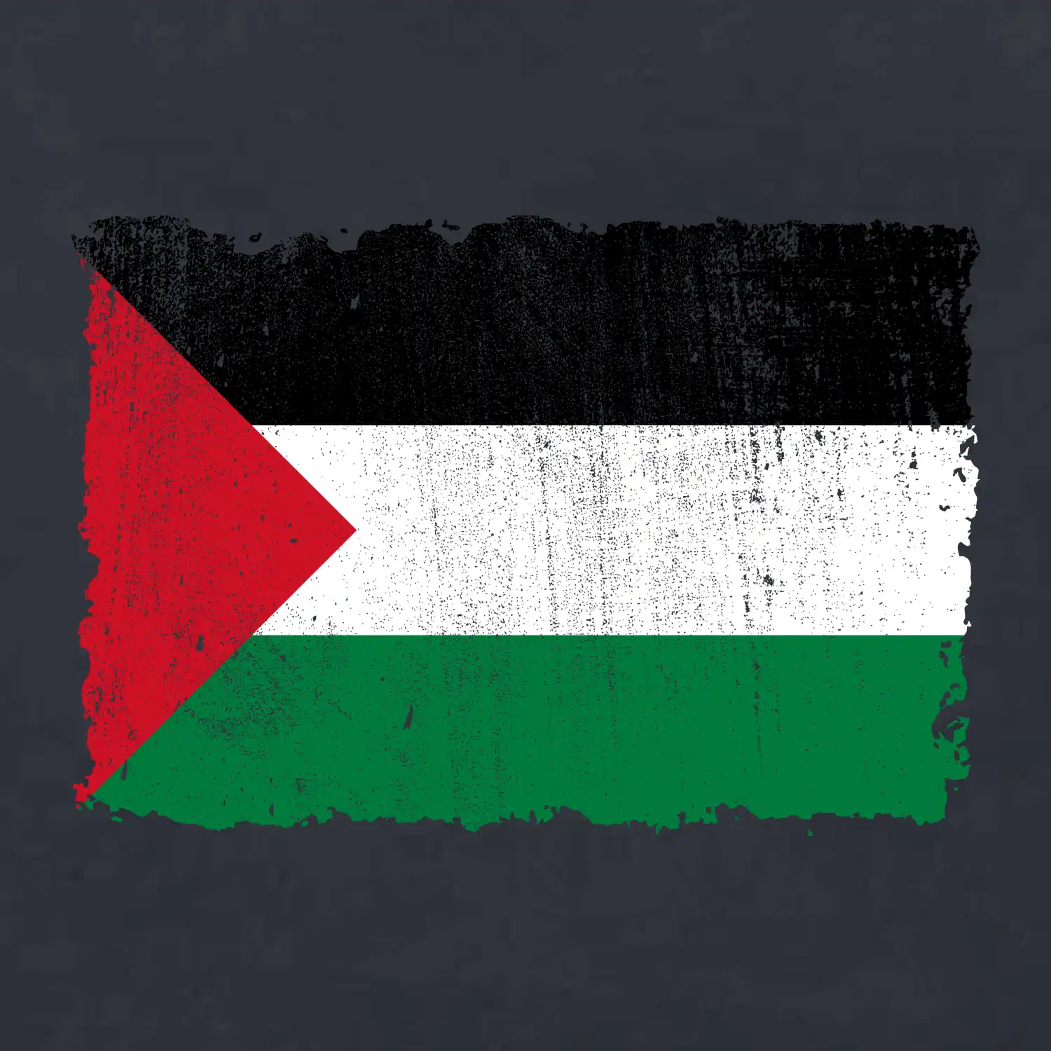 Palestina vlajka - odřená