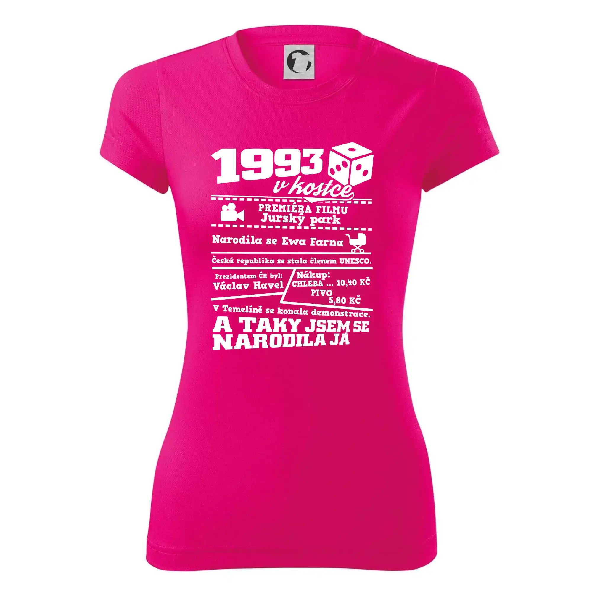 1993 v kostce