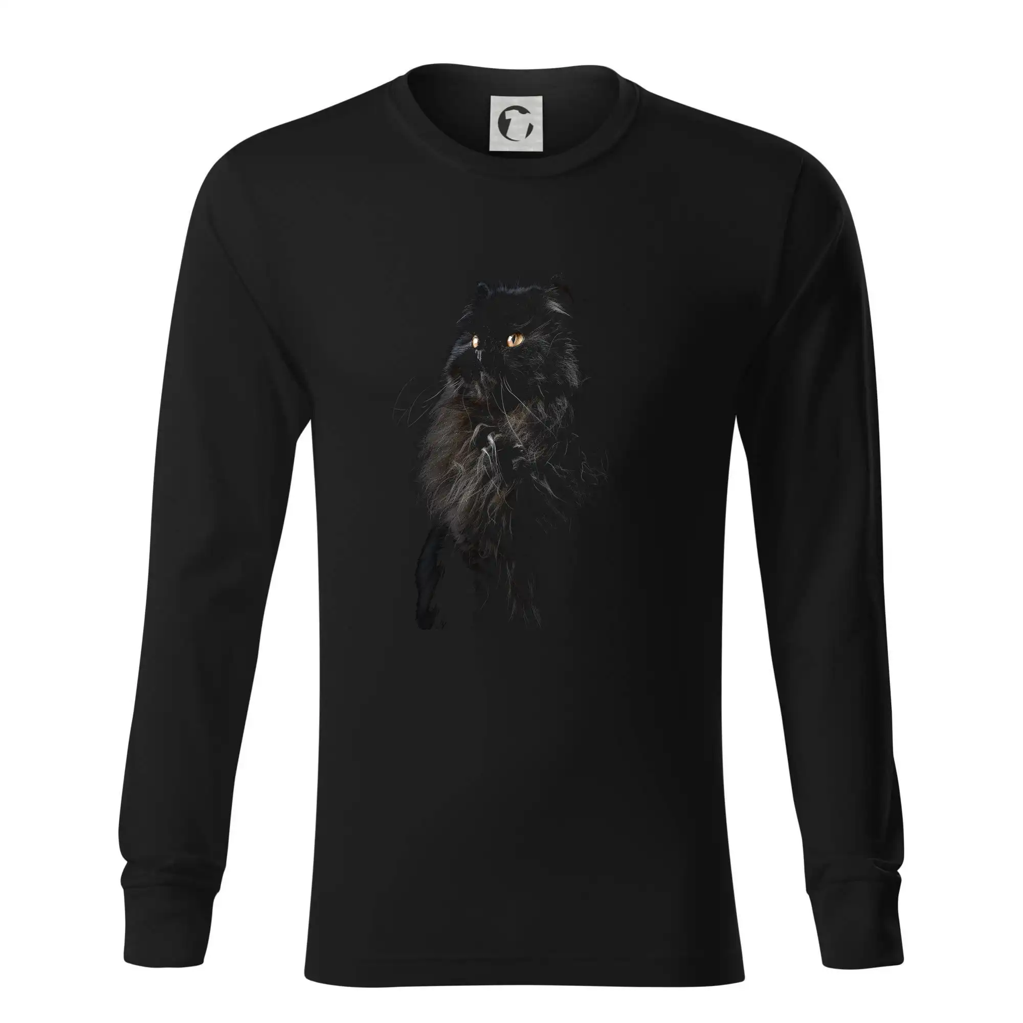 Perská kočka černá fotka