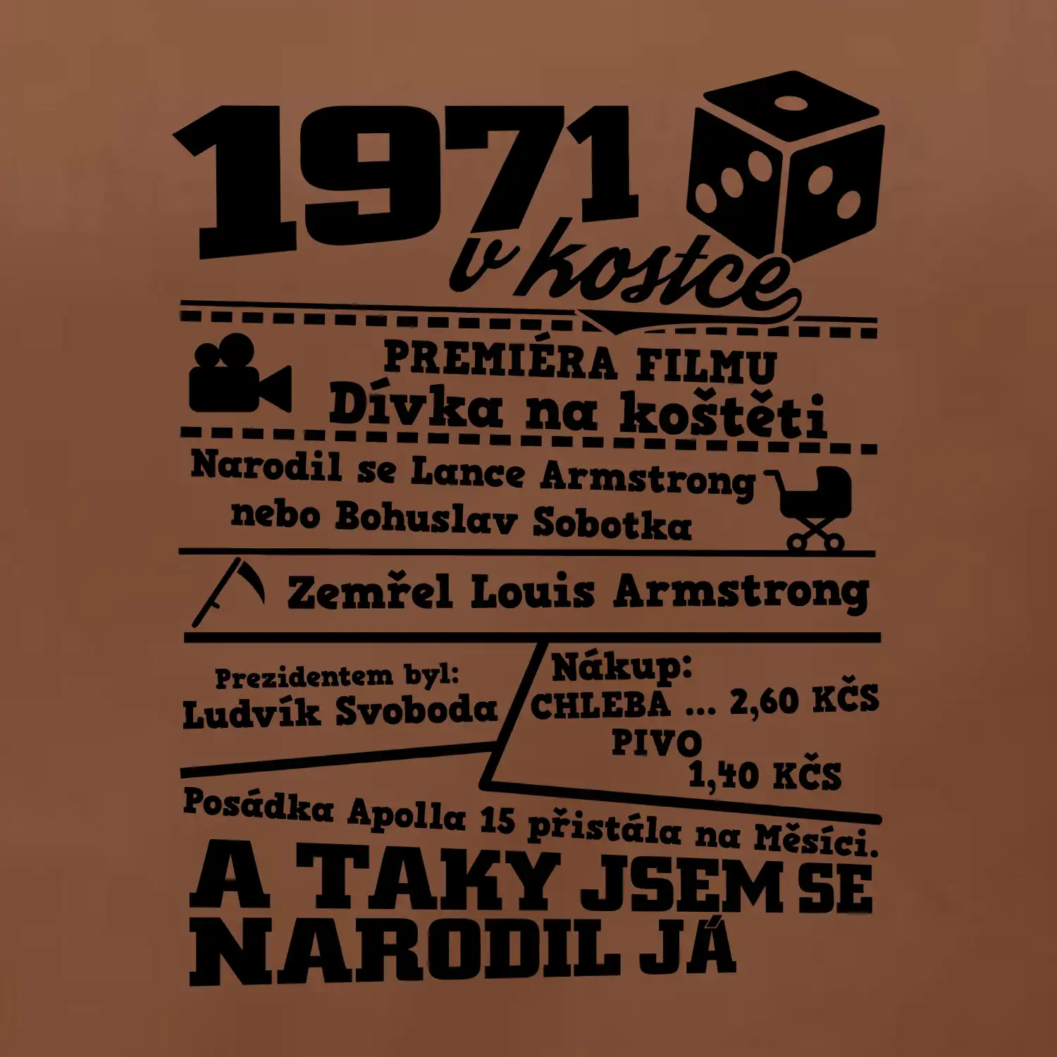 1971 v kostce
