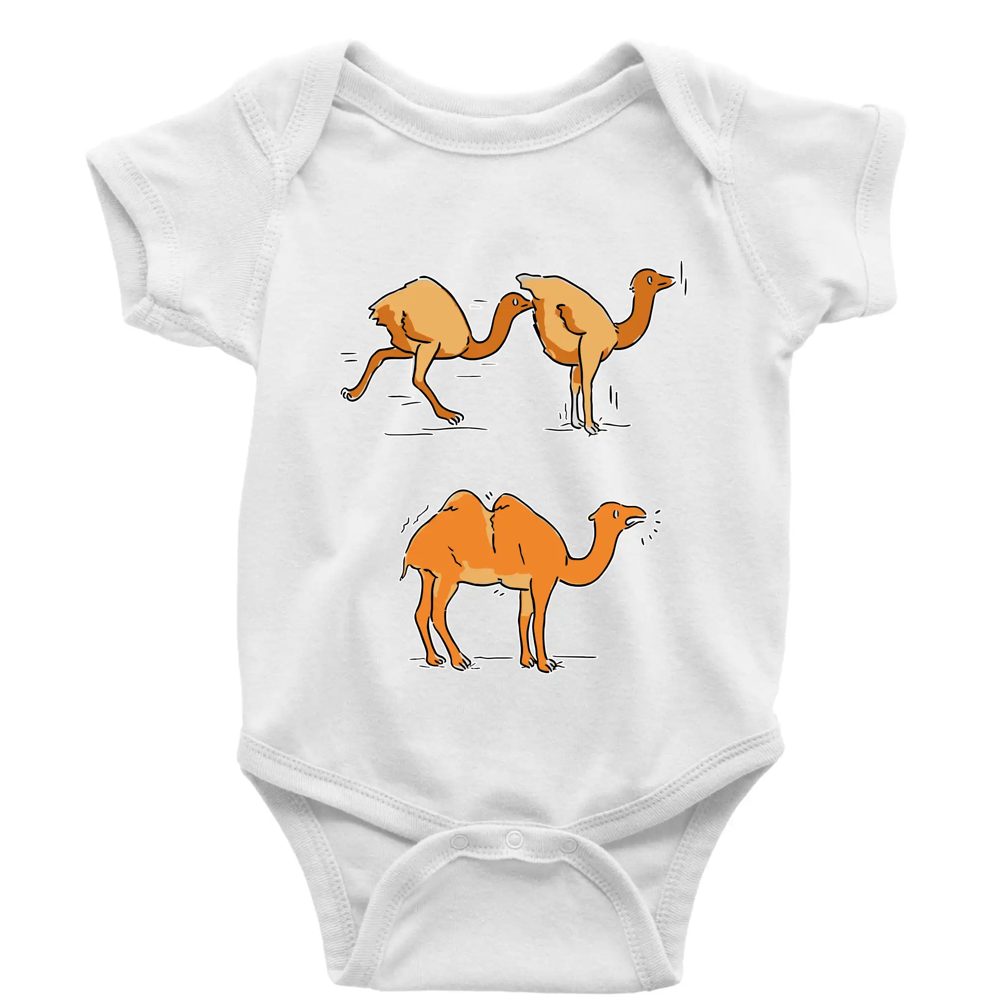 Pravda o velbloudech