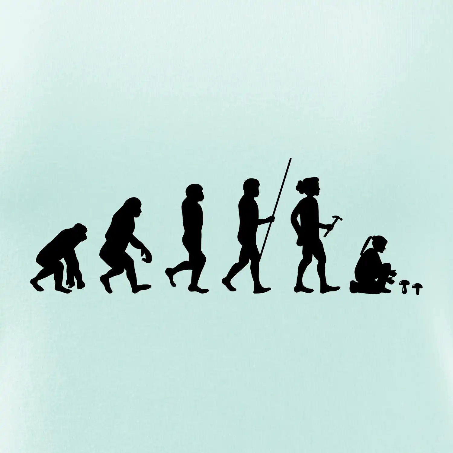 Evoluce houbařka