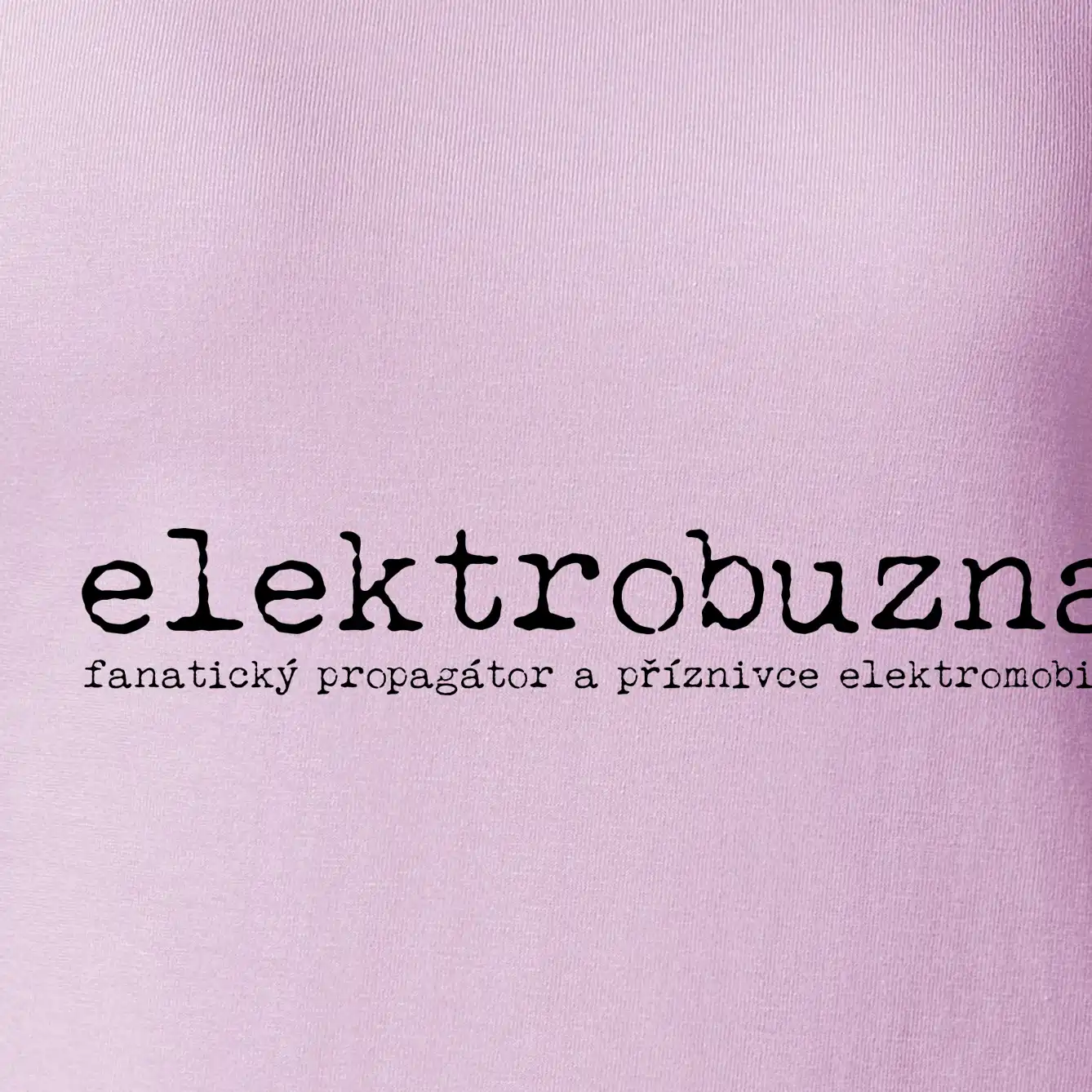 Čeština 2.0 - elektrobuzna