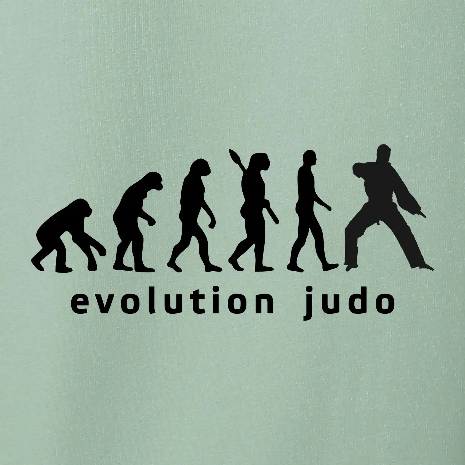 Judo evoluce - úder
