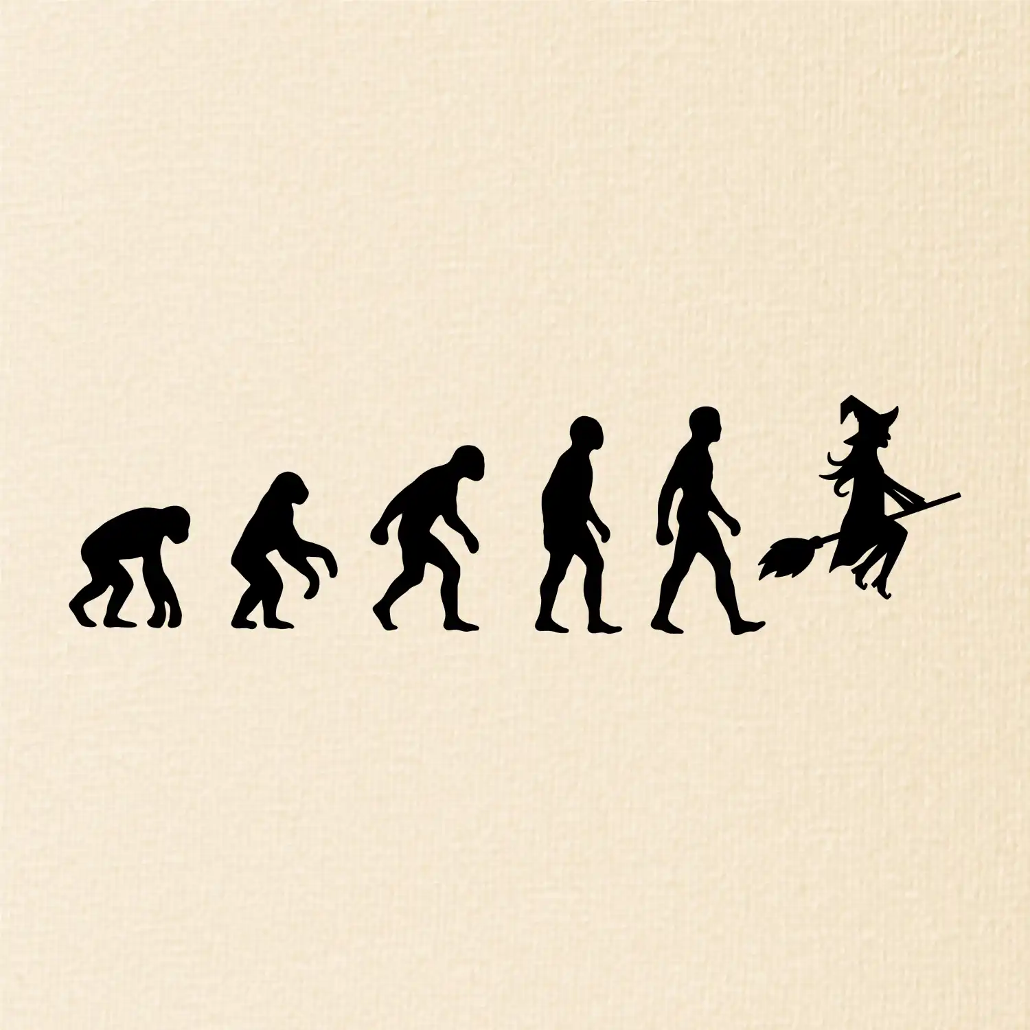 Evoluce čarodějnice