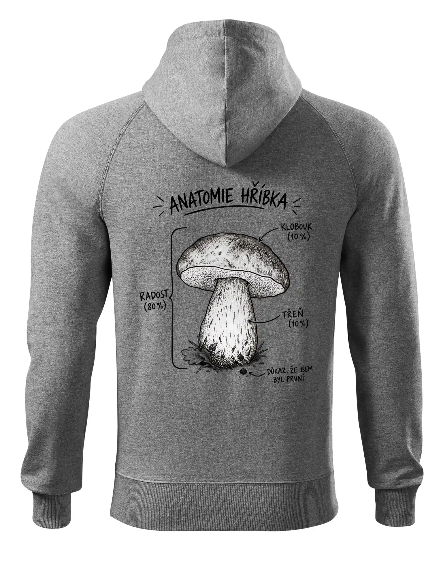 Anatomie hříbka