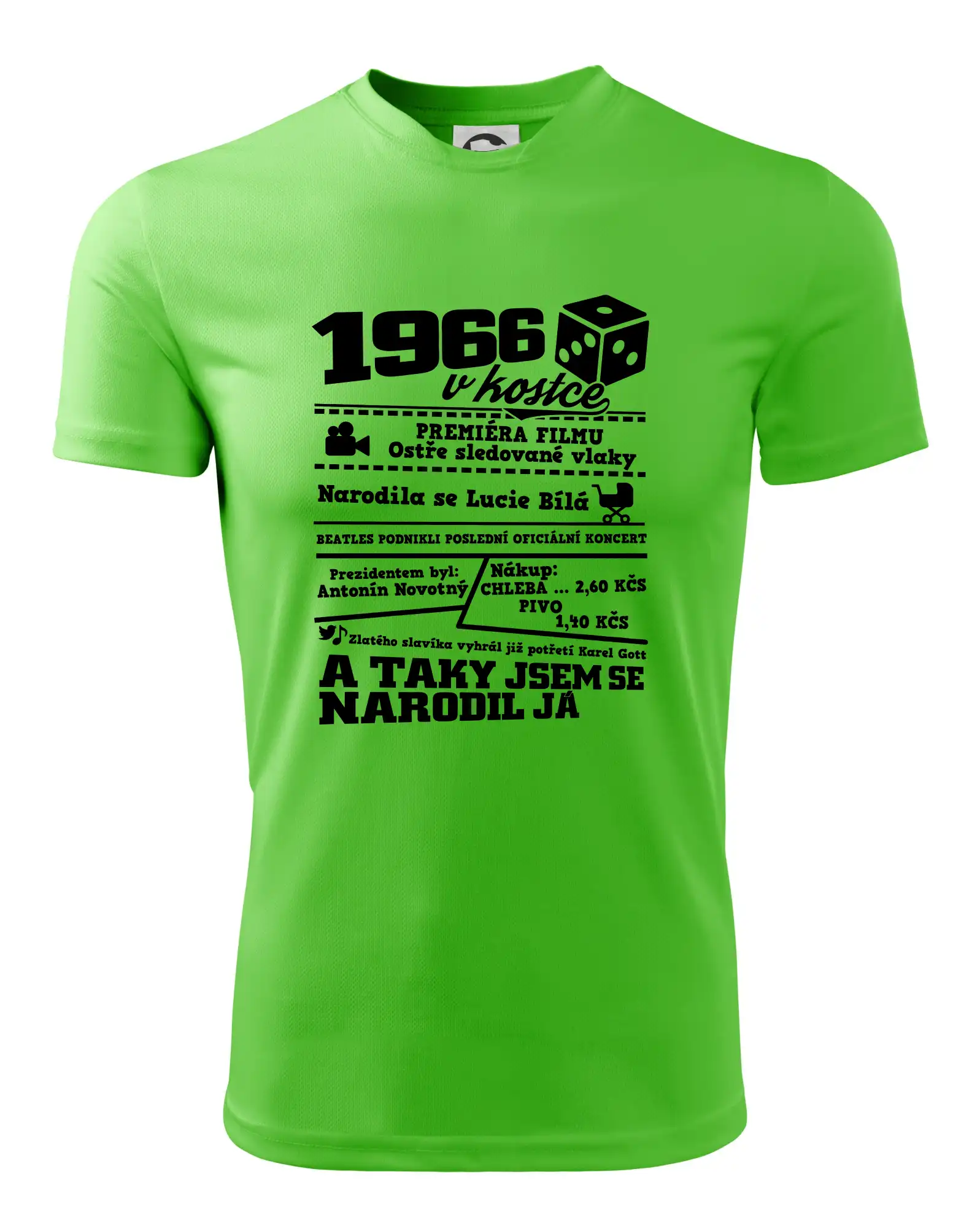 1966 v kostce