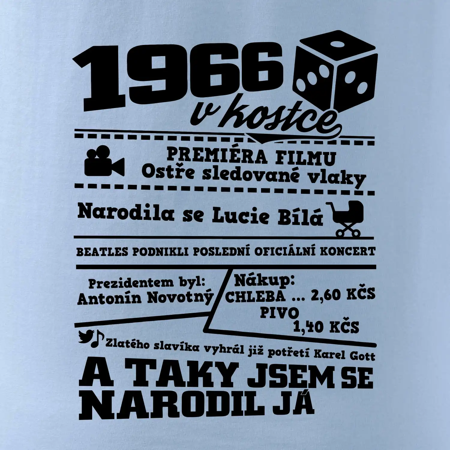 1966 v kostce