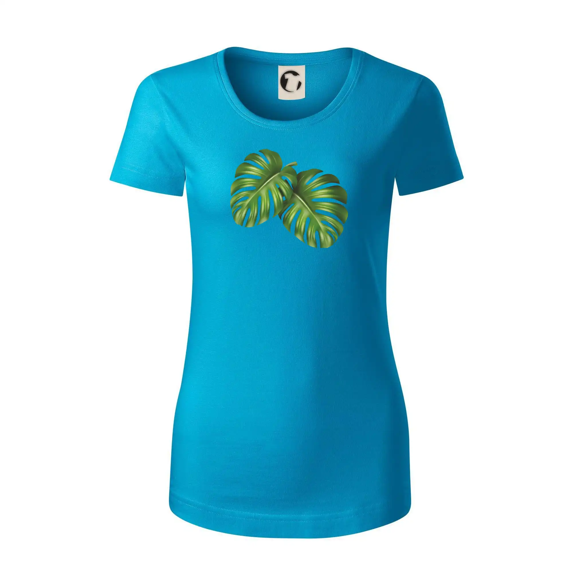 Monstera - dva listy