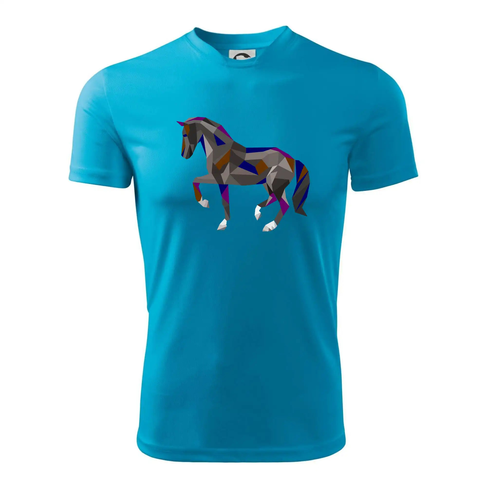 Kůň geometrie barevný