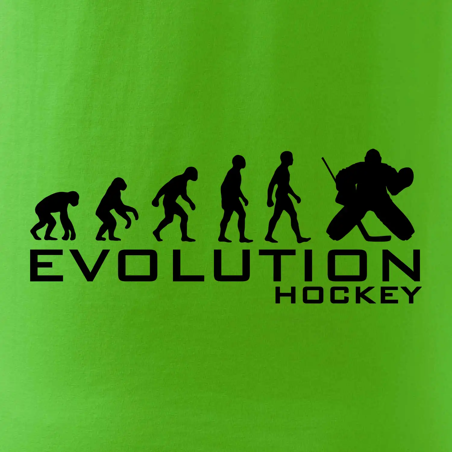 Evoluce Hockey brankář