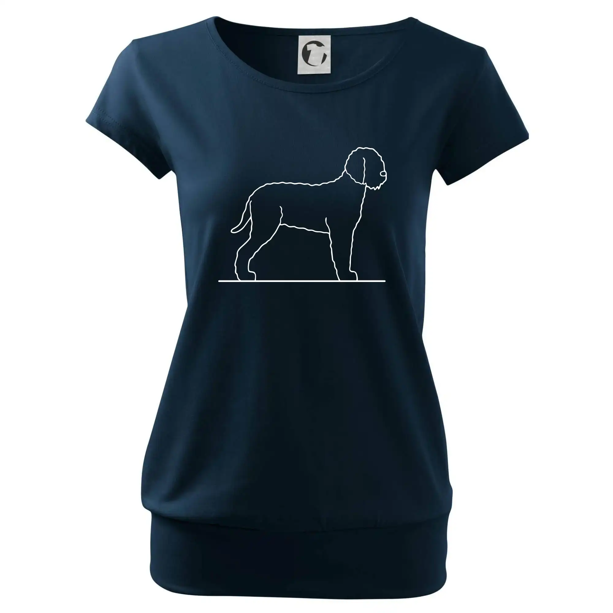 Lagotto romagnolo stojící