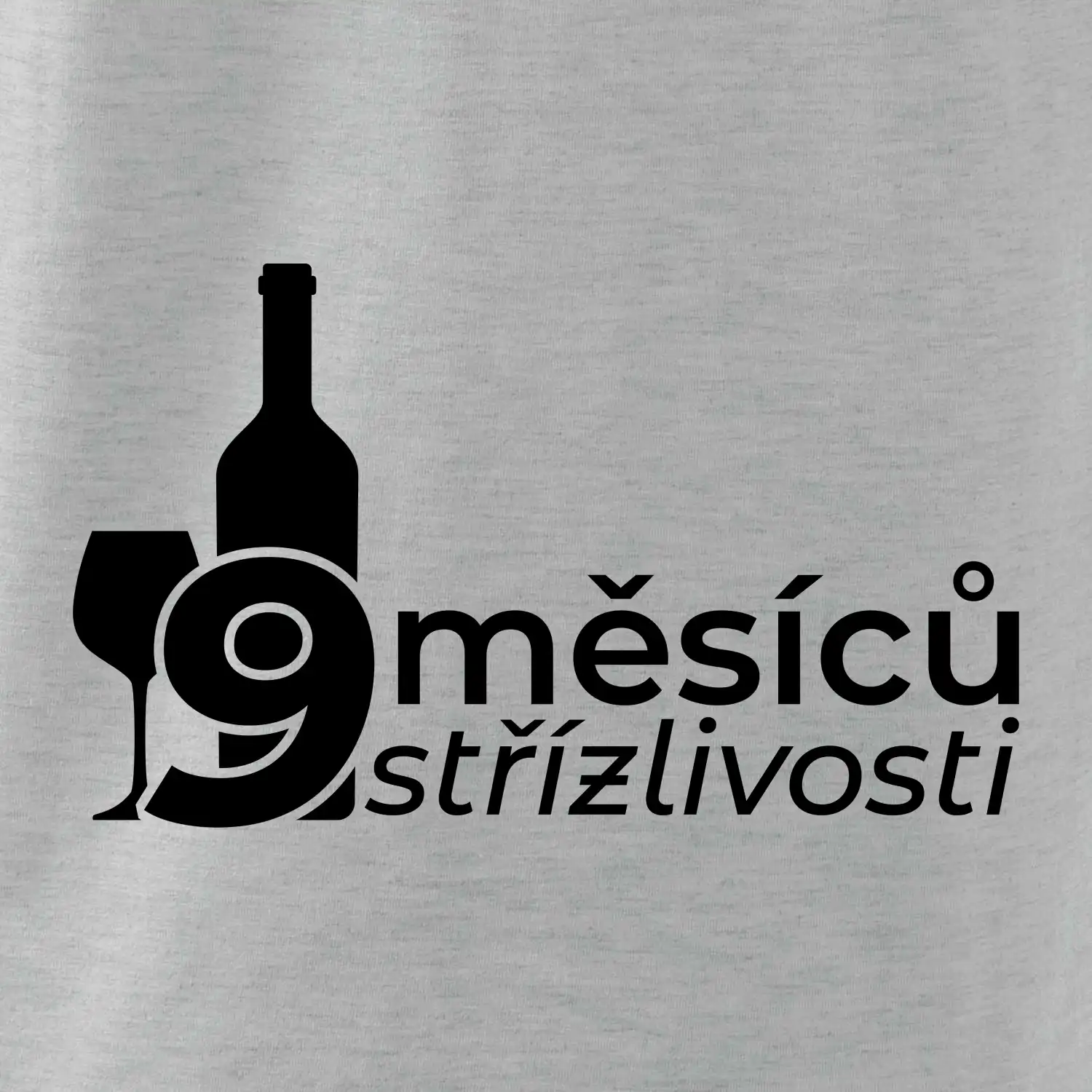 9 měsíců střízlivosti