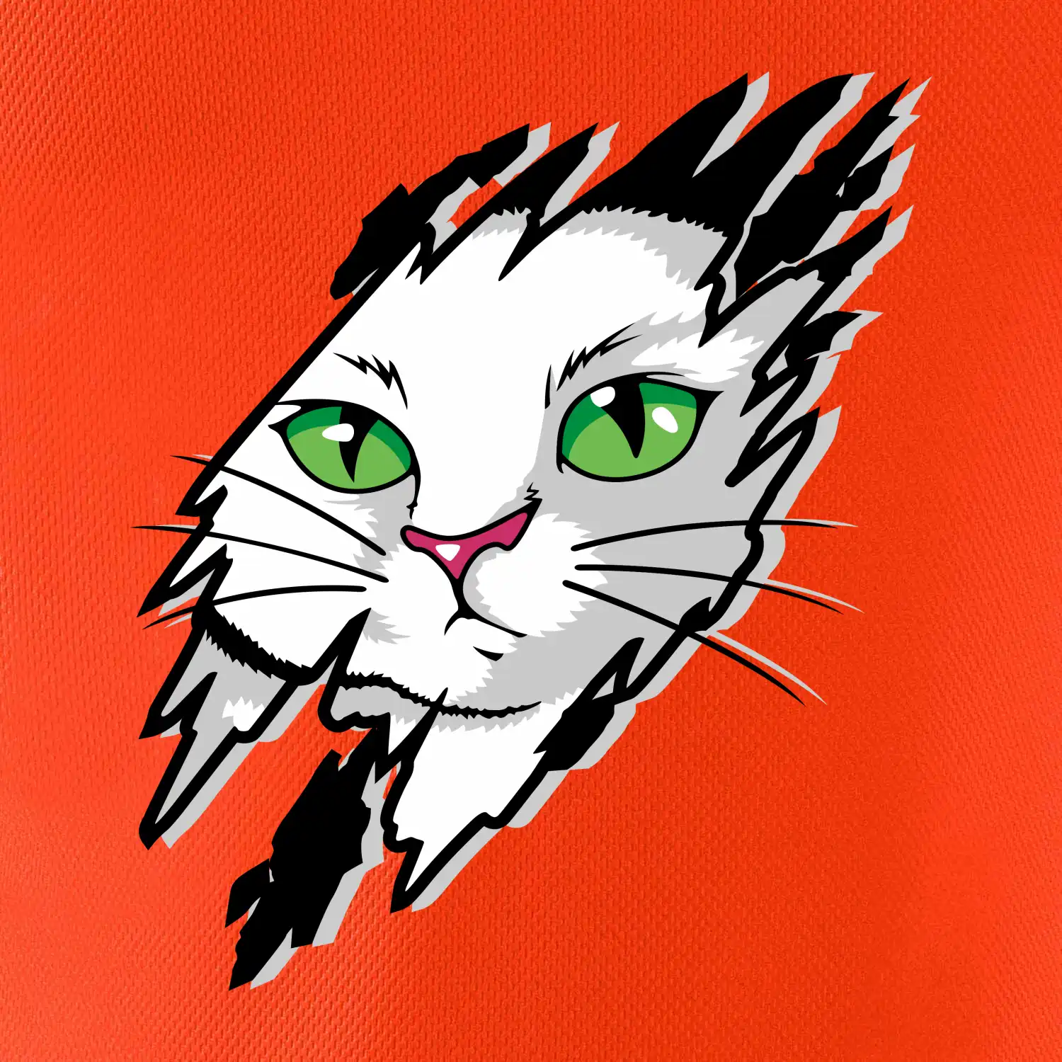 Kočka v roztrženém triku