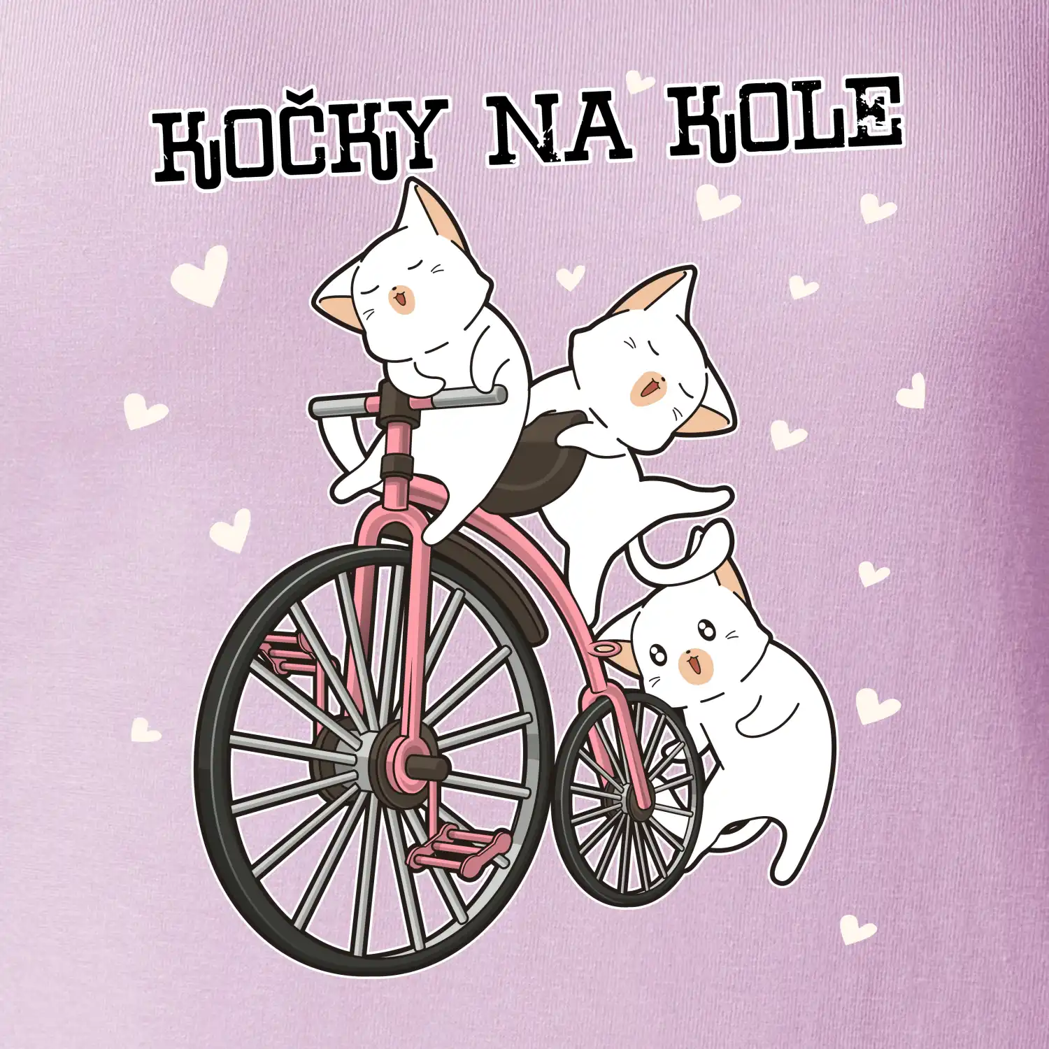 Kočky na kole