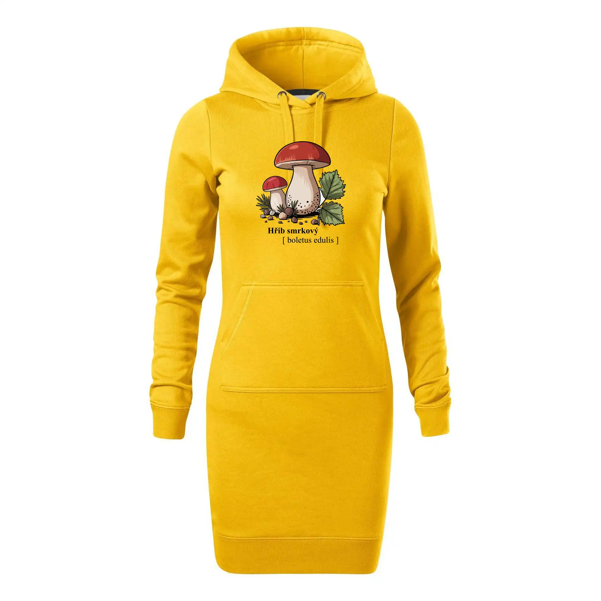 Hřib smrkový - Boletus edulis kreslený