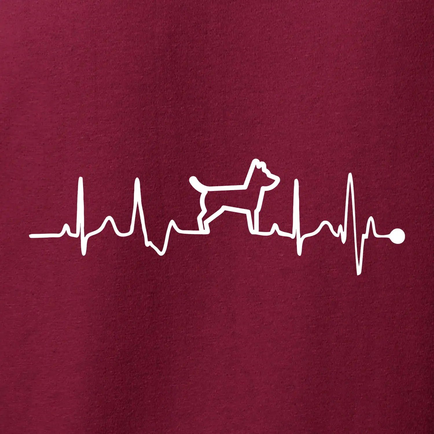 Ekg psí obrys