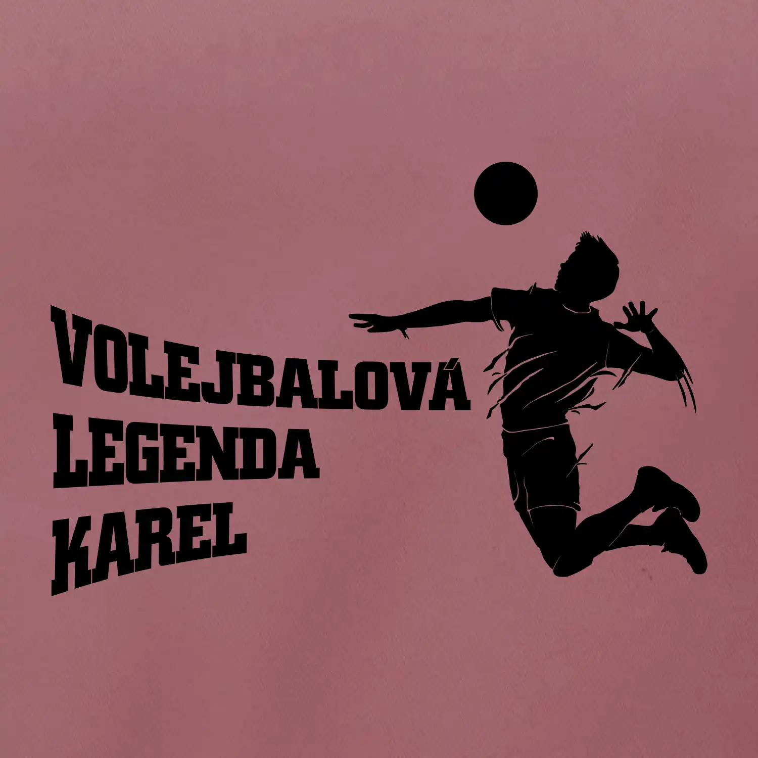 Volejbalová legenda Vaše jméno