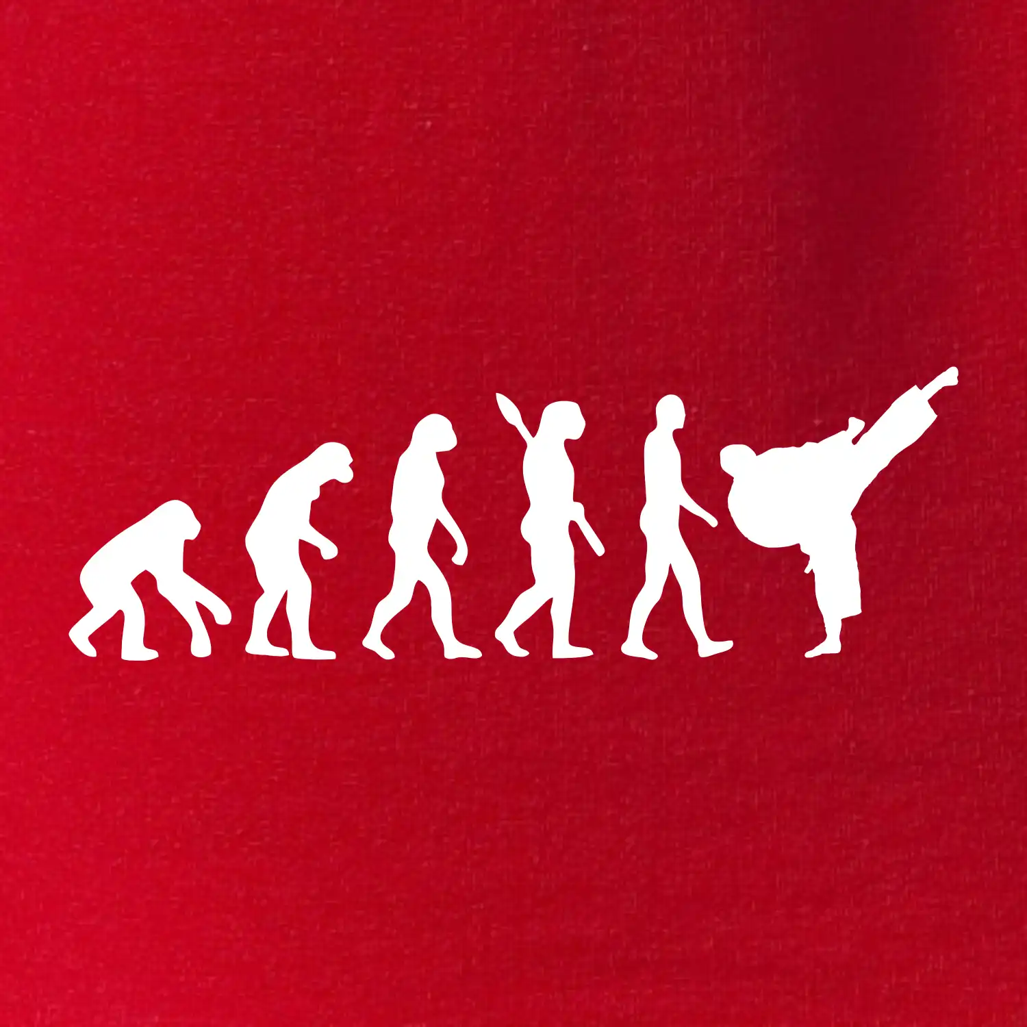 Karate Evoluce - kop