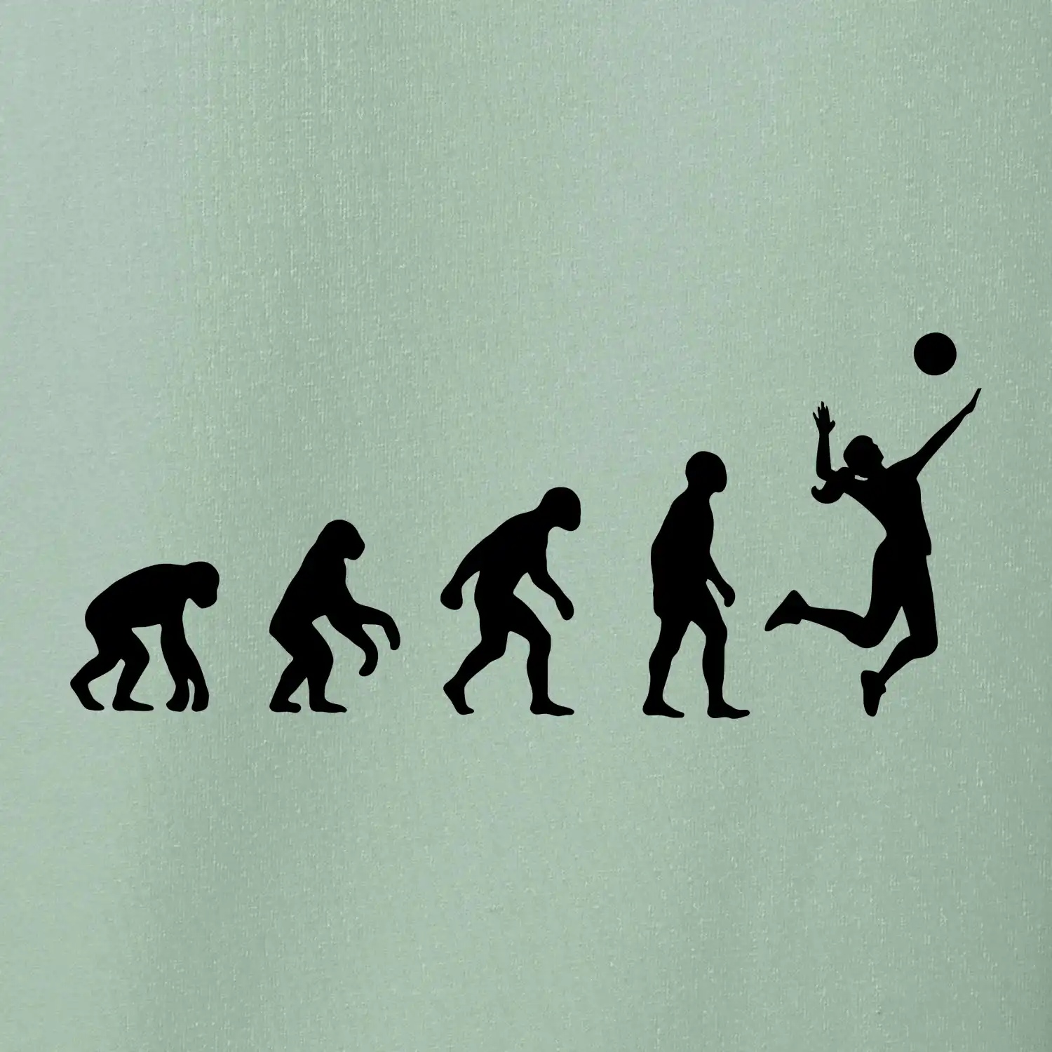 Evoluce volejbal culík