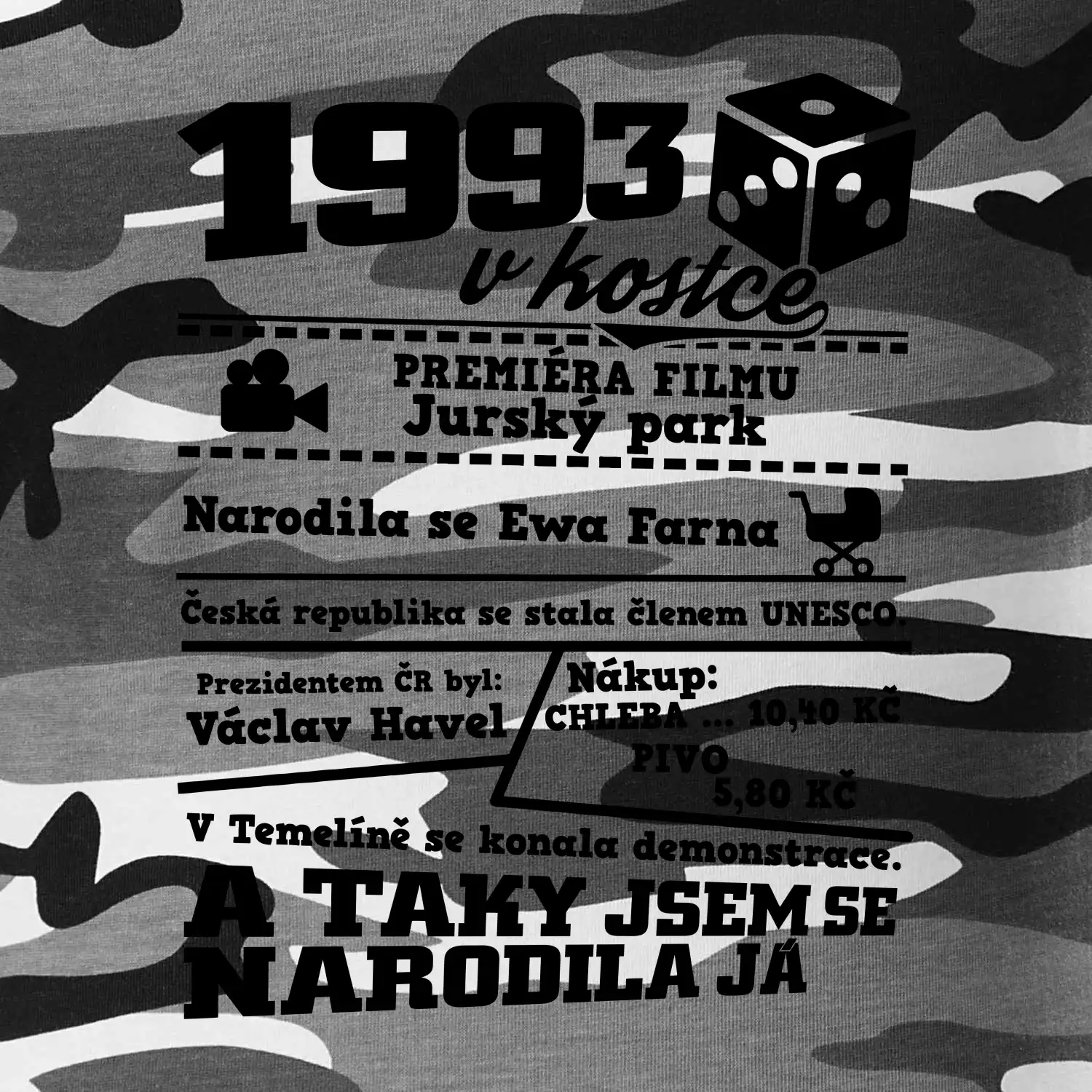 1993 v kostce