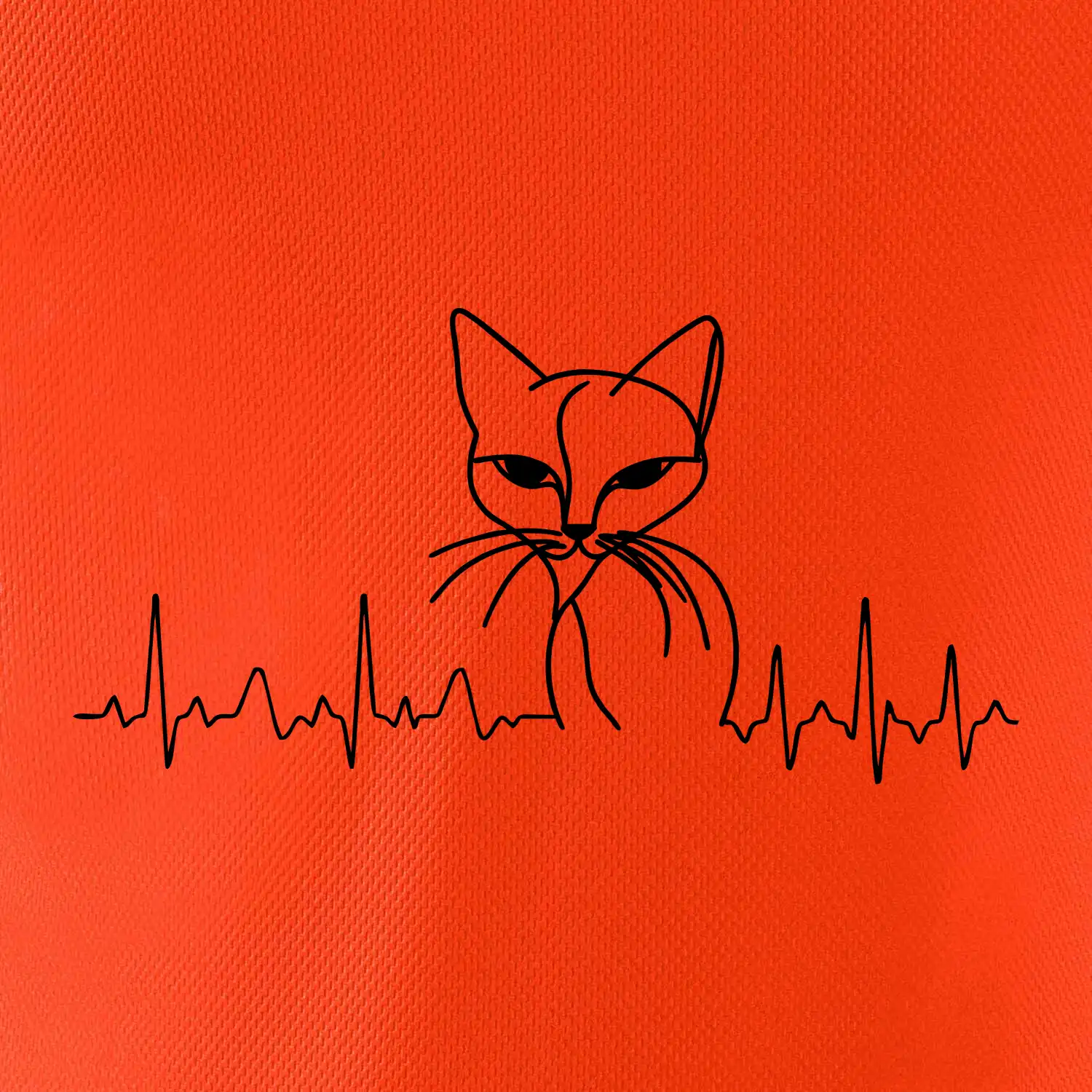EKG křivka kočka