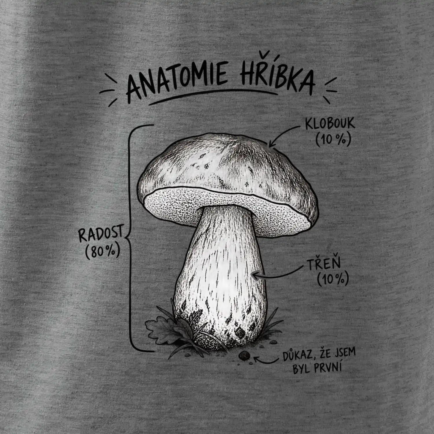 Anatomie hříbka