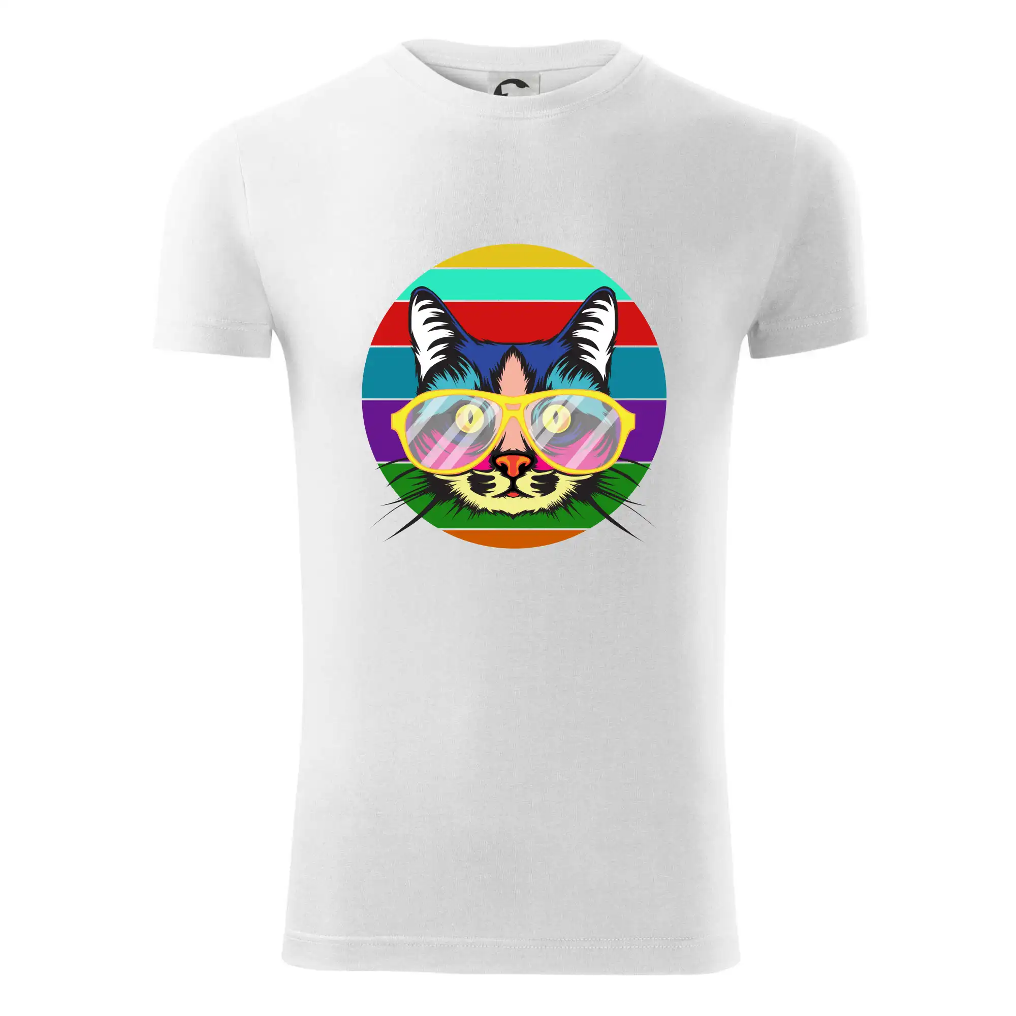 Kočka při barevném západu